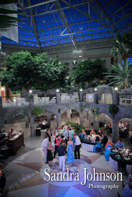 Best Gaylord Palms Wedding photographer - Sandra Johnson (SJFoto.com)